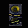 truaudiovizion