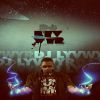 DjLyvwyr
