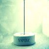 NSPINC