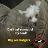 roylrodgers