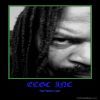 ECGCIncRecords
