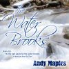 andymaples