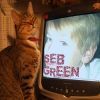 SebGreen
