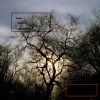 Sleeper
