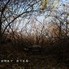 GreyEyes