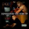 Dice