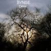 Bynge