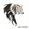 RayCoyote