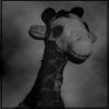 GeoffreyGiraffe