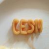 CESMmusic