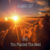 Angels127