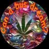canabusdream