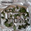 AnthonyStango