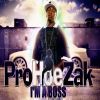 ProHoeZak