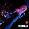 thenuminus