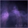 MyVioletSpy