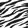 zebraheardmusic