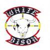 whitebisonband