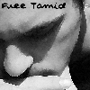 FreeTamid