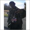 RansomDollars