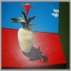 RedBromeliad