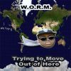 WORM