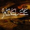 Swiveleye