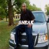 Sneak31