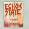 EchoState