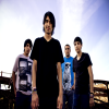 Sheepamongwolves