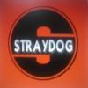 Straydog