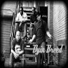 DyinBreed