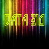 Data310