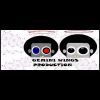 geminiwings