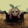 Whiterabbit
