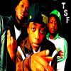 TheSelectedFew