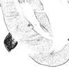 Ugly Beauty