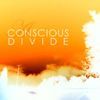A Conscious Divide