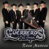 Guerreros Del Arpa