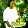 Crooks