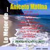 Aniceto Molina