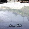 Adam Gold