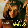 The Rising Sun