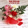 Mark Niewland