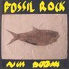 Rich Boban