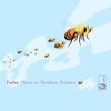 Iretsu