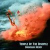 Temple Of The Disciple