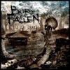 Bury The Fallen