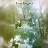 Fresh Maggots