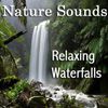 Nature Sounds